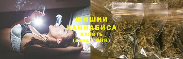 apvp Каменногорск