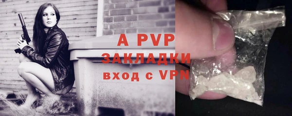 a pvp Каменка