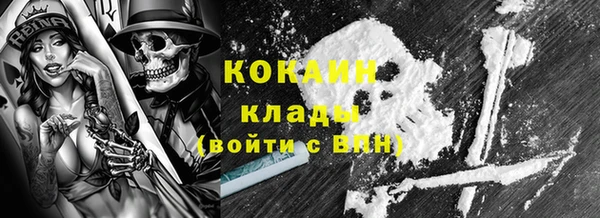 apvp Каменногорск