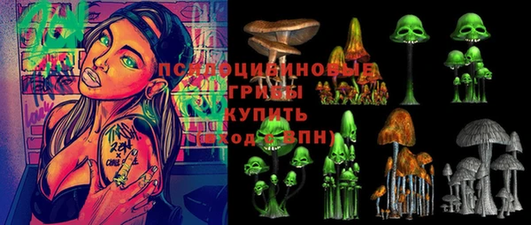 apvp Каменногорск