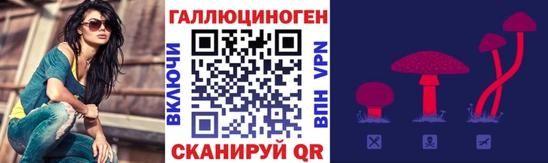 Купить  Пошехонье  Псилоцибиновые грибы MAGIC MUSHROOMS 